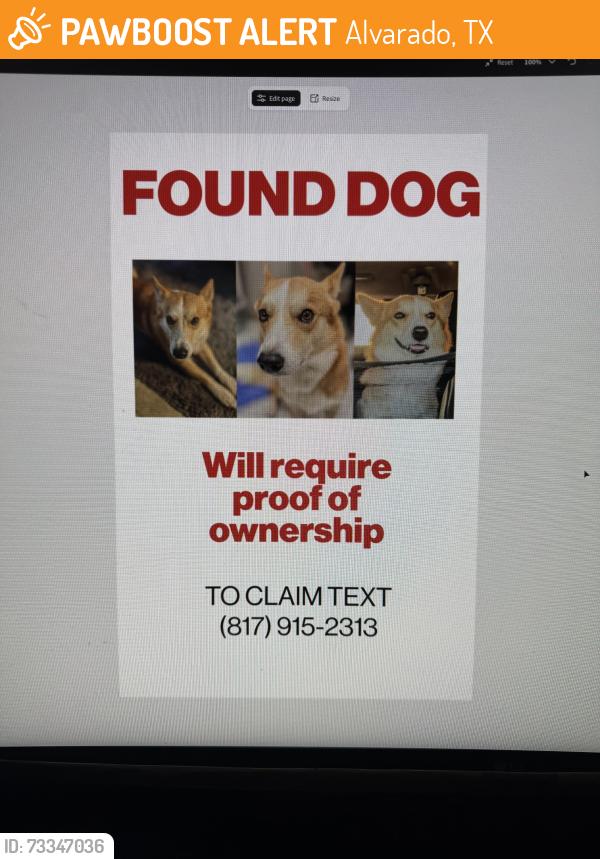 Found/Stray Male Dog last seen FM 3136 and 810, Alvarado, TX 76009
