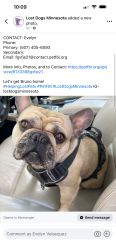 Lost Male Dog last seen Sunset terrace elementary school, Rochester, MN 55901