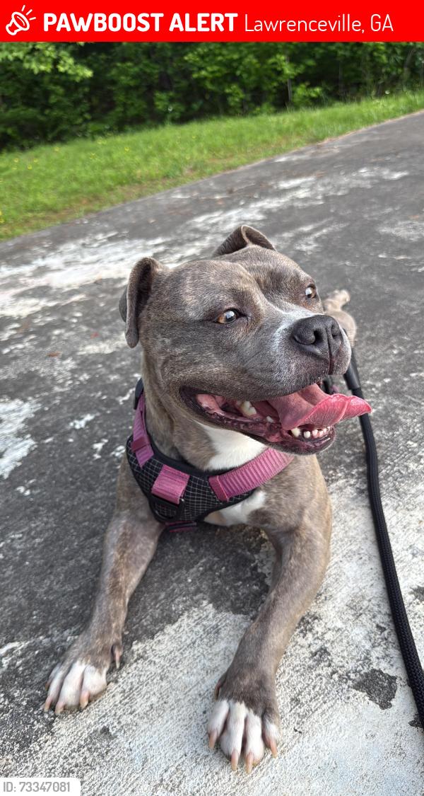 Lost Female Dog last seen Lawrenceville 30046, Lawrenceville, GA 30046