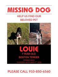 Lost Male Dog last seen SE 11th Street and SE 29th Terrace, Ocala, FL 34471
