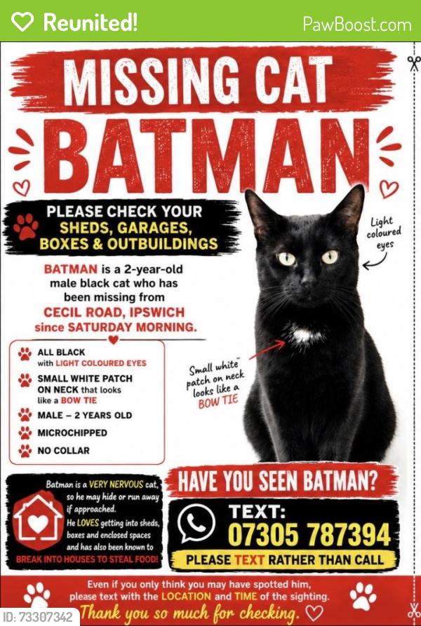 Reunited Male Cat last seen Cecil road, Suffolk, England 