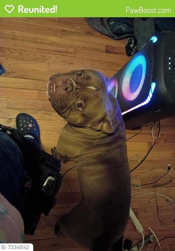 Reunited Male Dog last seen Near Meade St, Denver, CO 80204