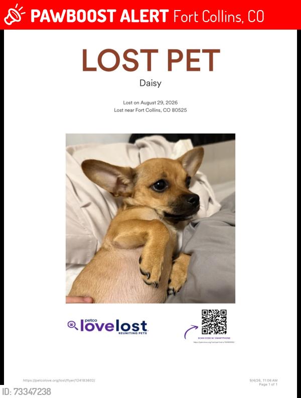 Lost Female Dog last seen Near S College Ave Fort Collins, CO 80525 United States, Fort Collins, CO 80524