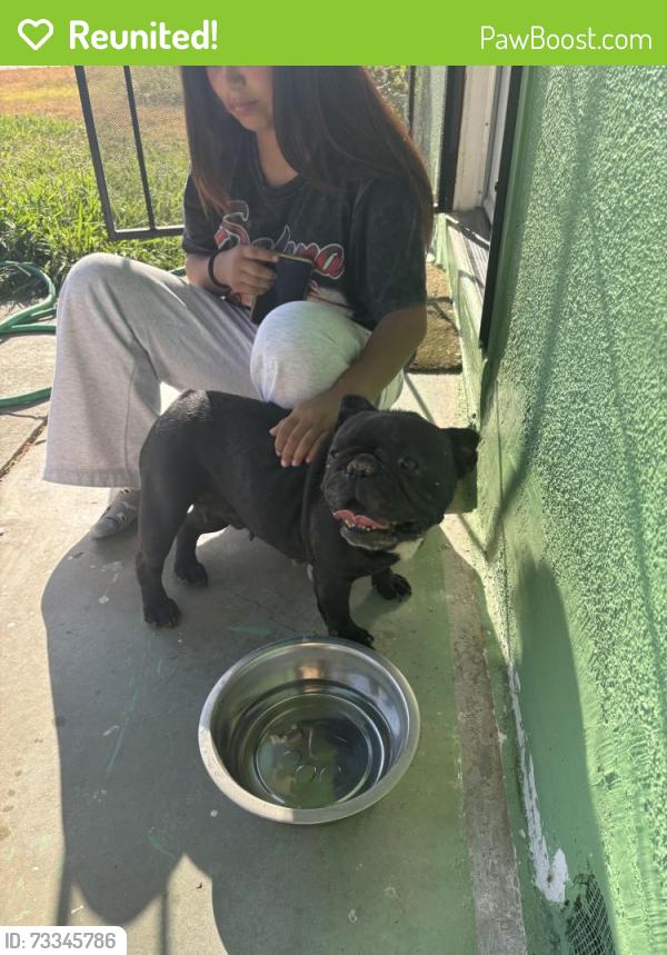 Reunited Female Dog last seen West and 8th St, Merced, CA 95341