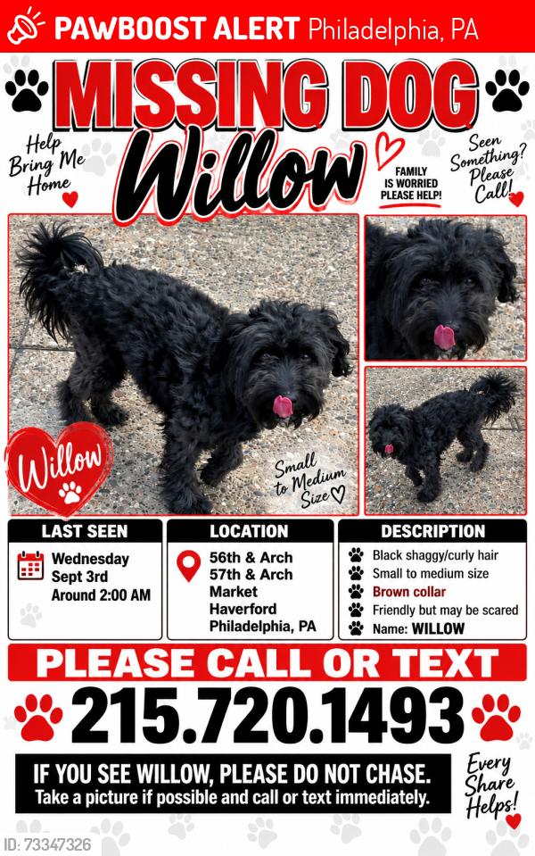 Lost Male Dog last seen Near arch, Philadelphia, PA 19106