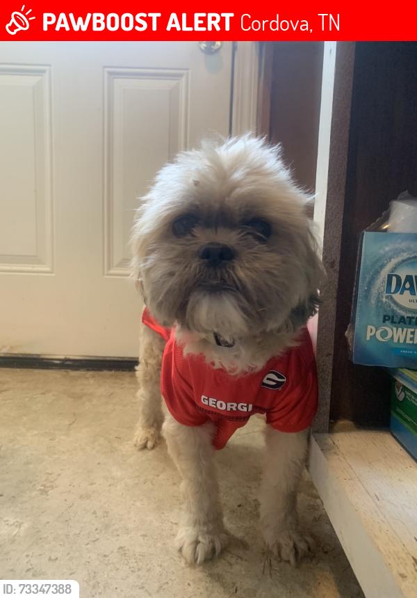 Lost Male Dog last seen Shelby Farms Dog Park, Cordova, TN 38018