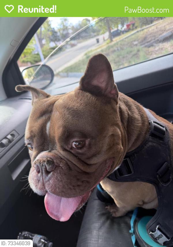 Reunited Male Dog last seen Near Meade st, Denver, CO 80204