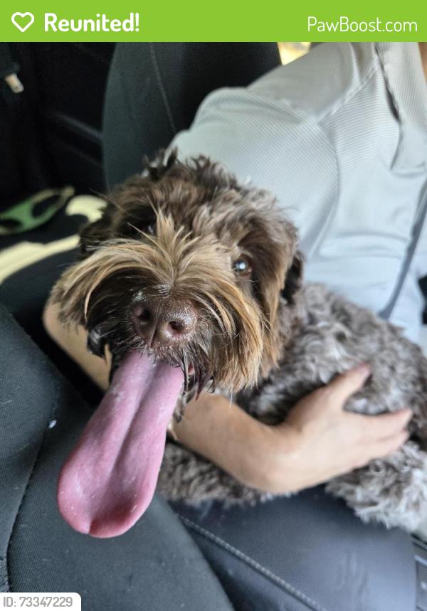 Reunited Unknown Dog last seen Woodland West Painted Tree, McKinney, TX 75071