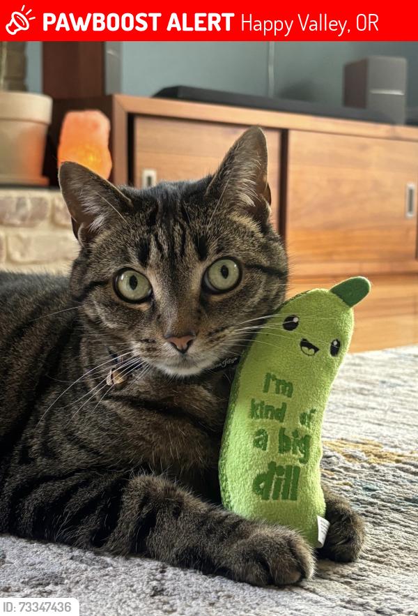 Lost Female Cat last seen SE Kanne Rd and 139th, Happy Valley, OR 97086