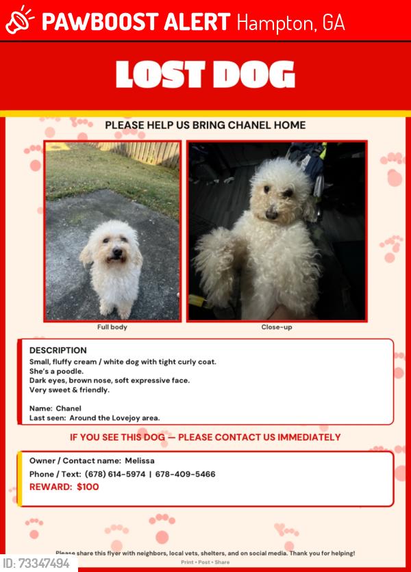 Lost Female Dog last seen Near Eddie White Academy Hampton ga, Hampton, GA 30228