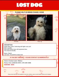 Lost Female Dog last seen Near Eddie White Academy Hampton ga, Hampton, GA 30228