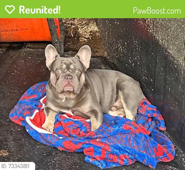 Reunited Male Dog last seen Grant and the blvd, Philadelphia, PA 19115