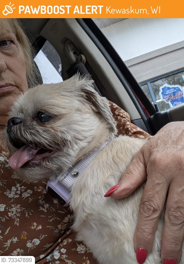 Found/Stray Unknown Dog last seen Highway 45 and 67, Kewaskum, WI 53040