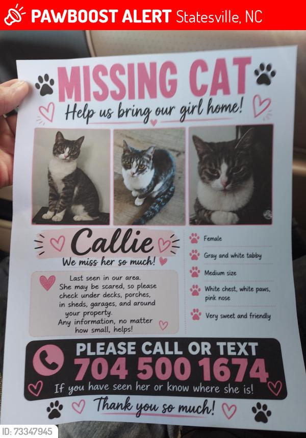 Lost Female Cat last seen N.Pointe Blvd, Statesville, NC 28625