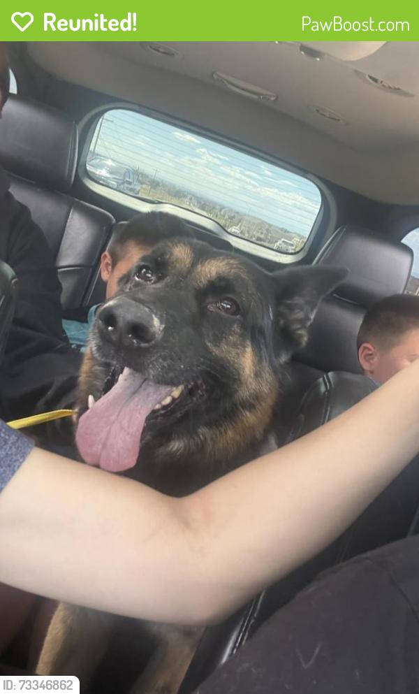 Reunited Male Dog last seen 144th and Colorado, Thornton, CO 80602
