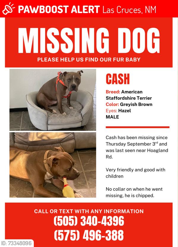 Lost Male Dog last seen Hoagland rd, Las Cruces, NM 88005