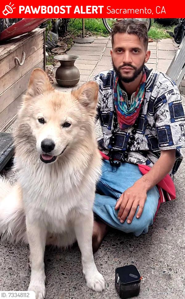 Lost Male Dog last seen Hagginwood park, Sacramento, CA 95838