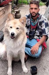 Lost Male Dog last seen Hagginwood park, Sacramento, CA 95838