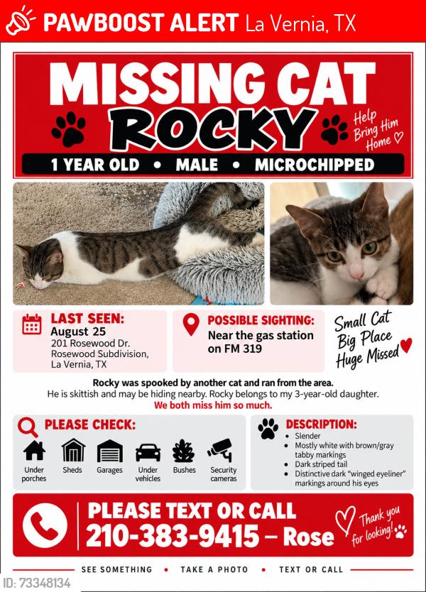 Lost Male Cat last seen Near & 319, La Vernia, TX 78121