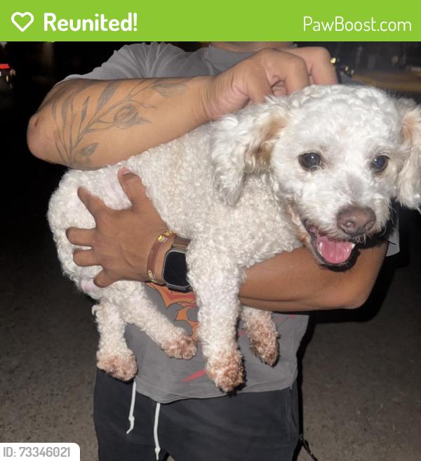 Reunited Male Dog last seen NW 28th St, Bethany, OK, USA, Bethany, OK 73008