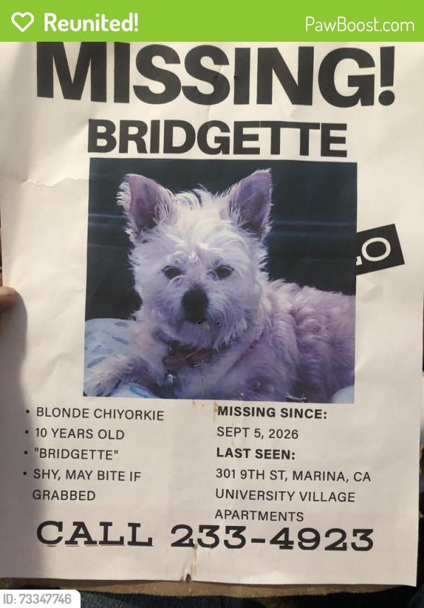 Reunited Female Dog last seen Whole Foods in Marina, Marina, CA 93933