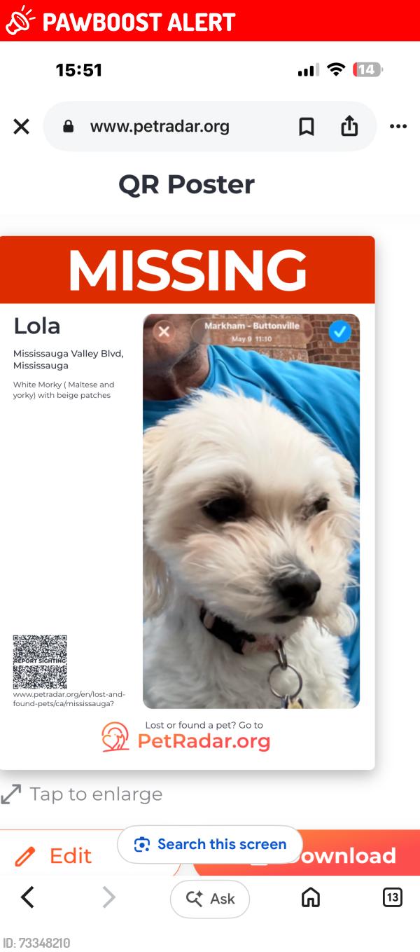 Lost Female Dog last seen Mississauga valley blvd, Mississauga, ON L5A 1Z8