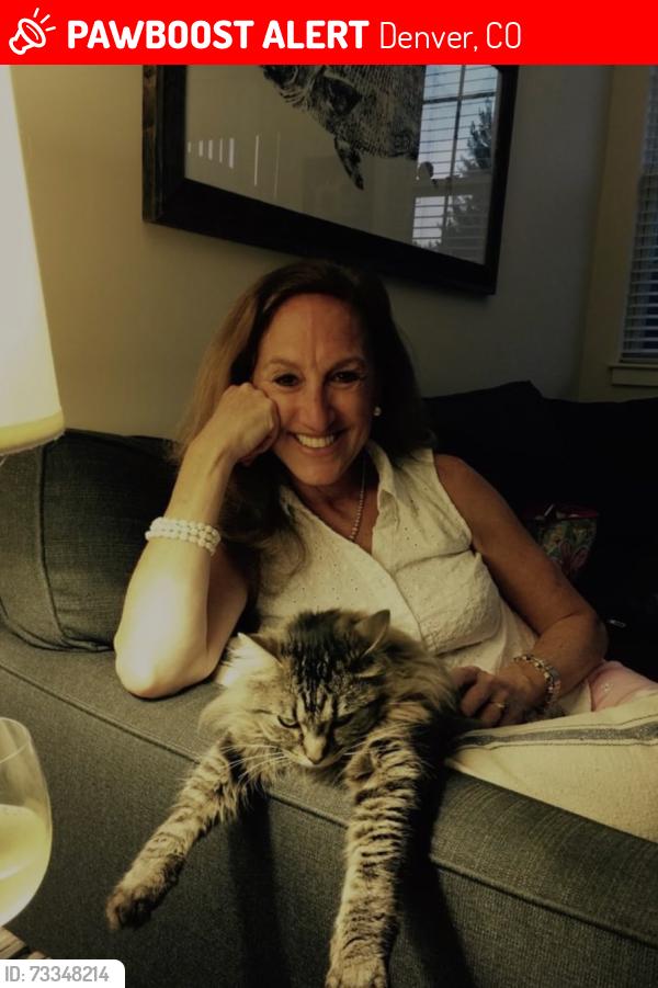 Lost Female Cat last seen Jackson South Jackson and Bayaud, Denver, CO 80209