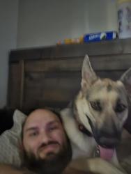 Lost Female Dog last seen Toulomne rd, Tuolumne County, CA 95370