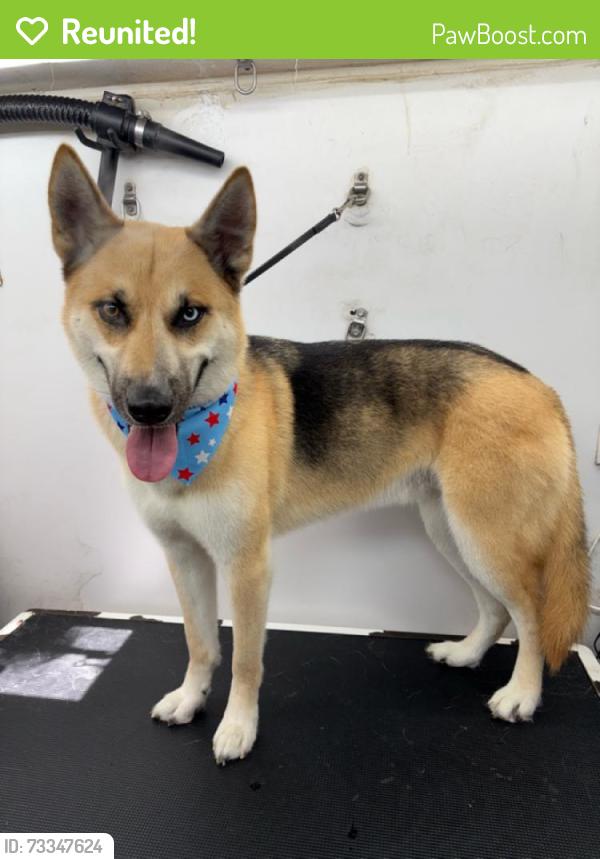 Reunited Male Dog last seen Brunello way, Temecula, CA 92591