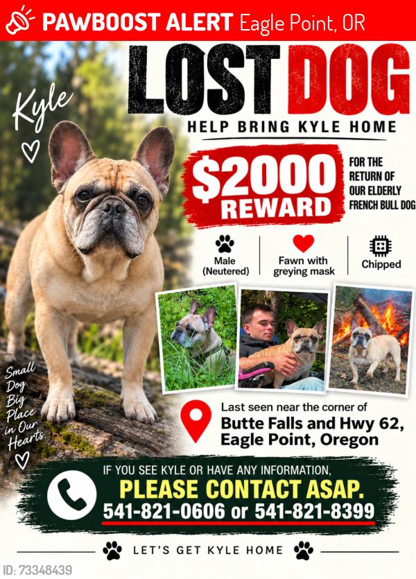 Lost Male Dog last seen Butte Falls Hwy and Hwy 62 junction, Eagle Point, OR 97524