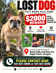 Lost Male Dog last seen Butte Falls Hwy and Hwy 62 junction, Eagle Point, OR 97524