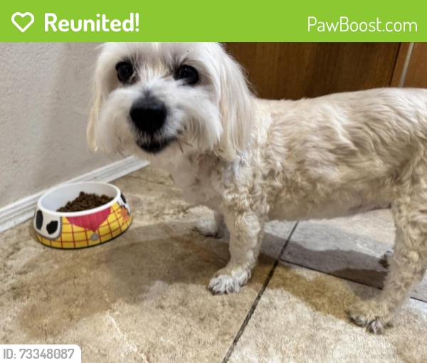 Reunited Female Dog last seen 59th Avenue & Deer Valley, across from Megan’s Parm, Glendale, AZ 85308