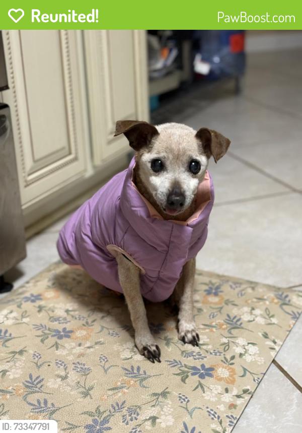 Reunited Female Dog last seen Rusticwood, Fort Worth, TX 76140