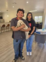 Reunited Male Dog last seen Decatur & Rancho Alterra apmts Office, Las Vegas, NV 89108