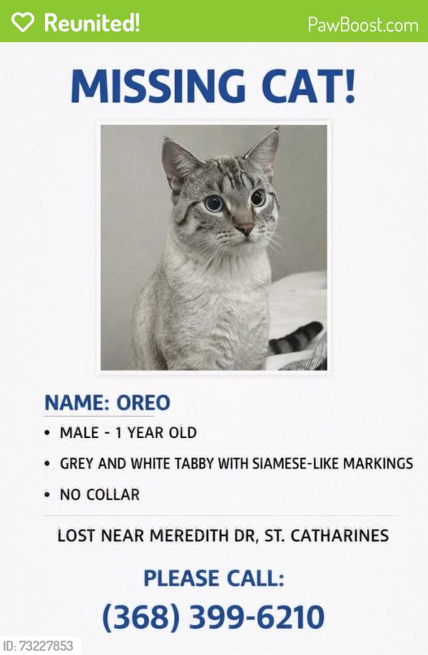 Reunited Male Cat last seen Huntley crescent, St. Catharines, ON L2M 6R5