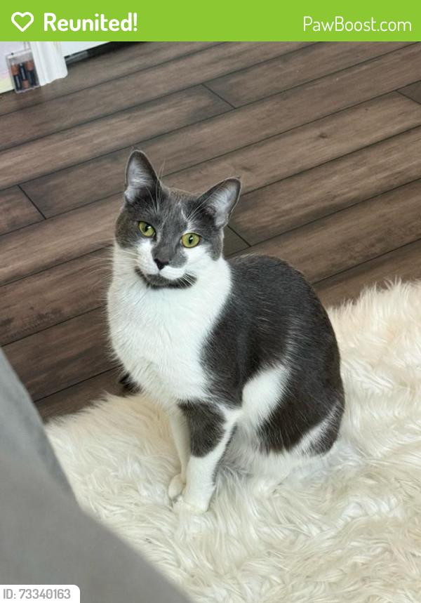 Reunited Female Cat last seen Prairie View Road/Sturgeon Road, Winnipeg, MB R3J 1G9