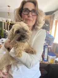 Reunited Male Dog last seen Arrow Drive and Bow lane, Gilbertsville, PA 19525