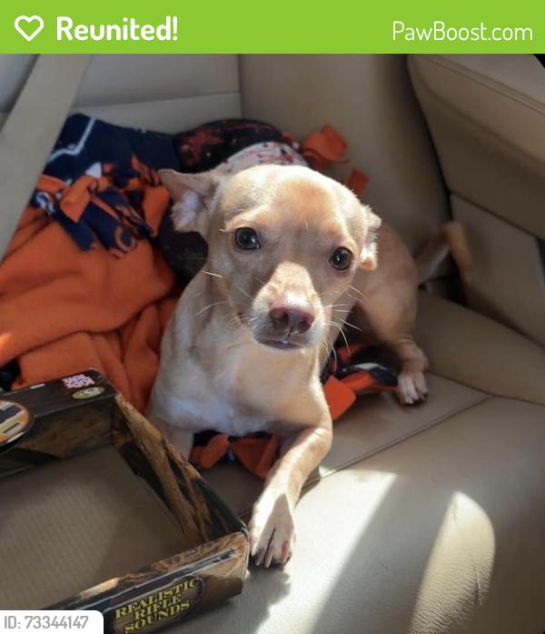 Reunited Male Dog last seen Near E 60th Ave, Commerce City, CO 80022, USA, Commerce City, CO 80022
