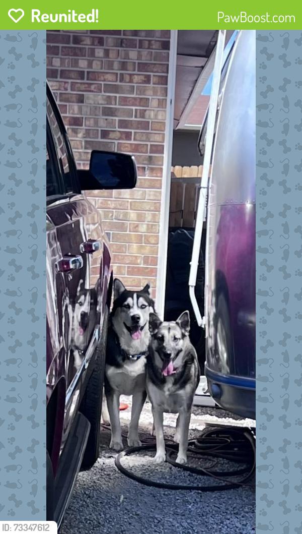 Reunited Male Dog last seen E Gunnison, Aurora, CO 80017
