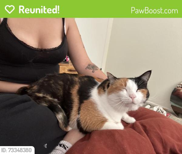 Reunited Female Cat last seen 42nd st, Philadelphia, PA 19104