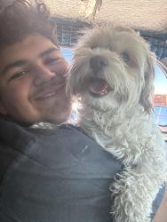 Reunited Male Dog last seen H st and Jackson ave, Las Vegas, NV 89106