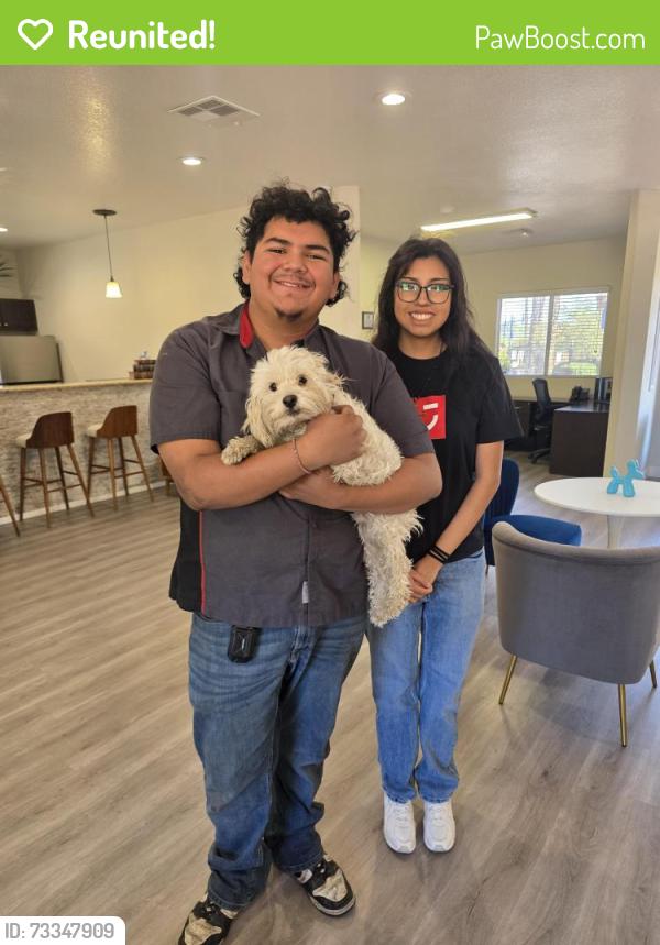 Reunited Male Dog last seen Decatur & Rancho Alterra apmts Office, Las Vegas, NV 89108