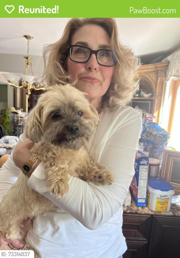 Reunited Male Dog last seen Arrow Drive and Bow lane, Gilbertsville, PA 19525