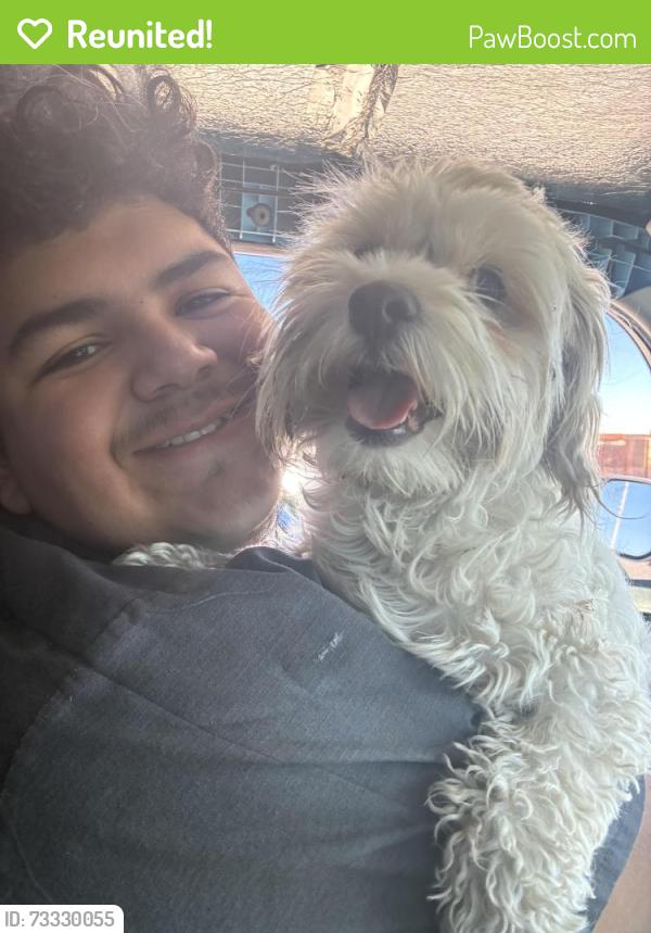 Reunited Male Dog last seen H st and Jackson ave, Las Vegas, NV 89106