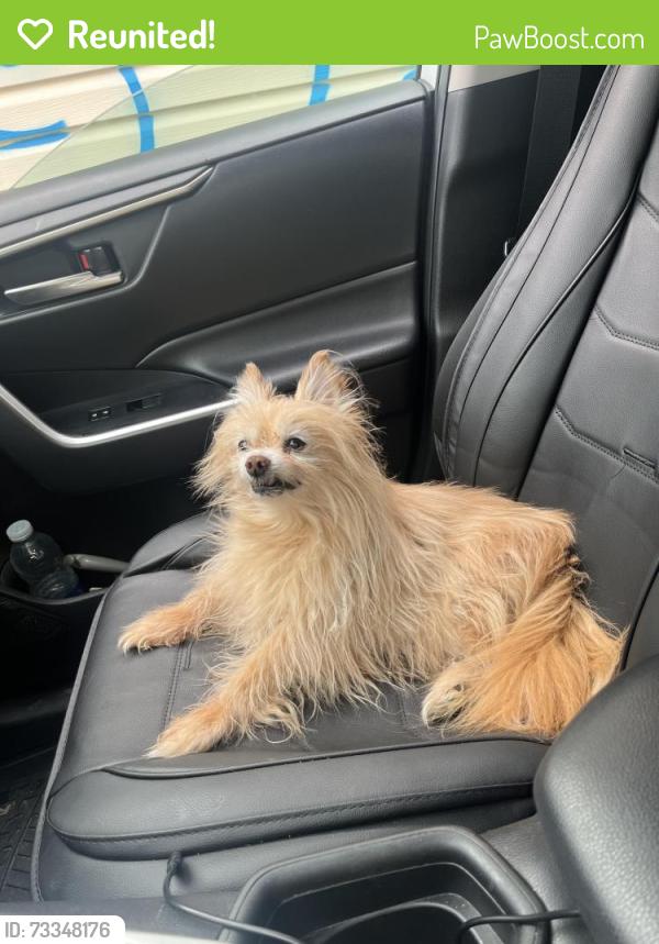 Reunited Male Dog last seen Maidavale Park Birchmount Rd, Toronto, ON M1K 1S1