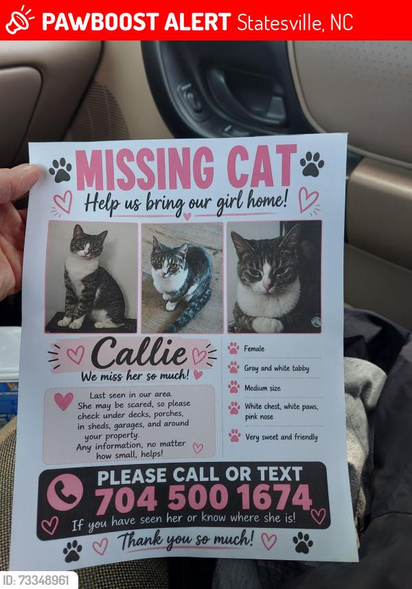 Lost Female Cat last seen N. Pointe Blvd, Statesville, NC 28625