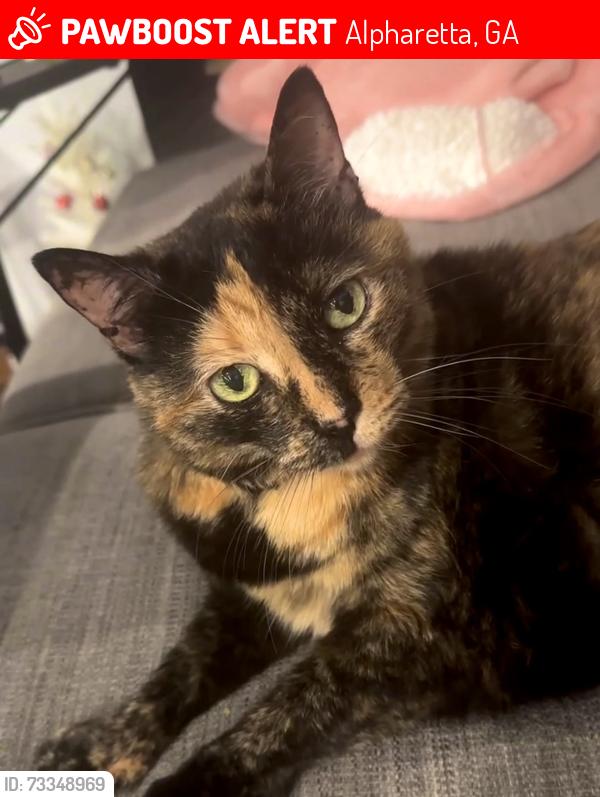 Lost Female Cat last seen Nottingham Gate, Alpharetta, GA 30005