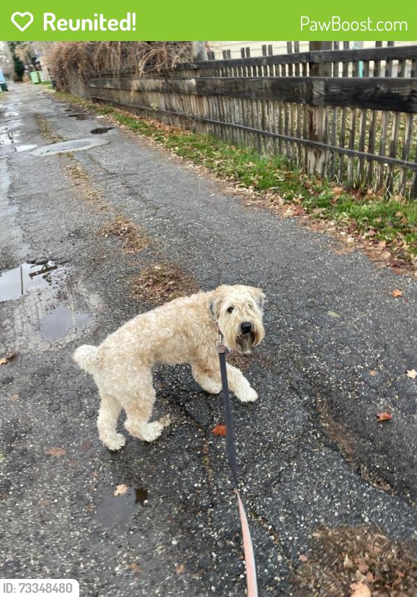 Reunited Female Dog last seen Monroe Park, Ogden, UT 84403
