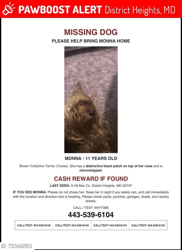 Lost Female Dog last seen S Hil Mar Cir, District Heights, MD 20747, District Heights, MD 20747
