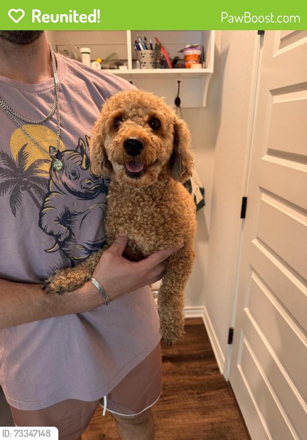 Reunited Unknown Dog last seen Old Reliance, Bryan, TX 77808
